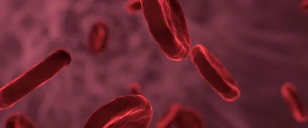 Cell-Walls-Explained