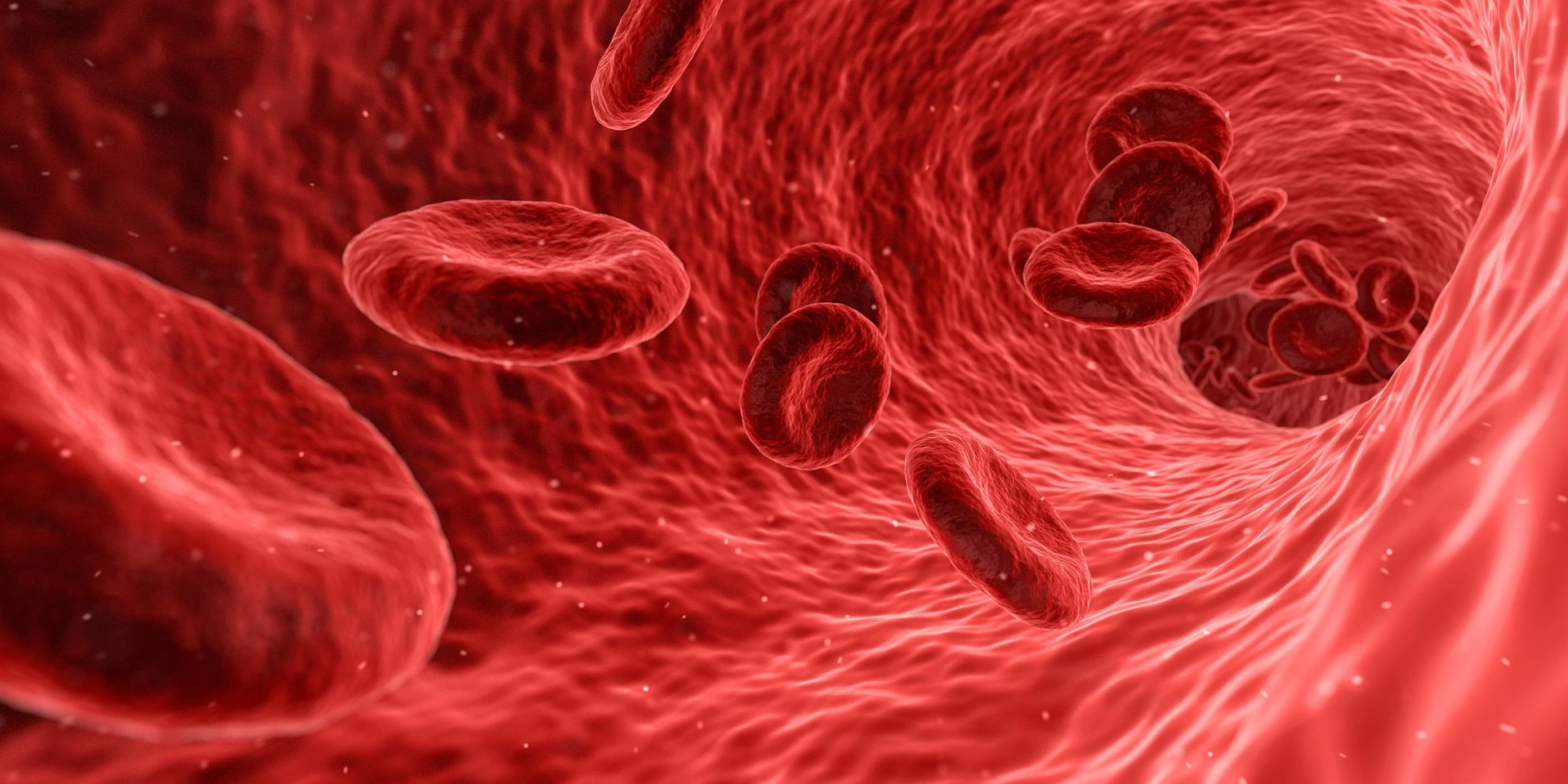 Cell-Walls-Explained-Why-Human-Cells-Are-Built-Differently.