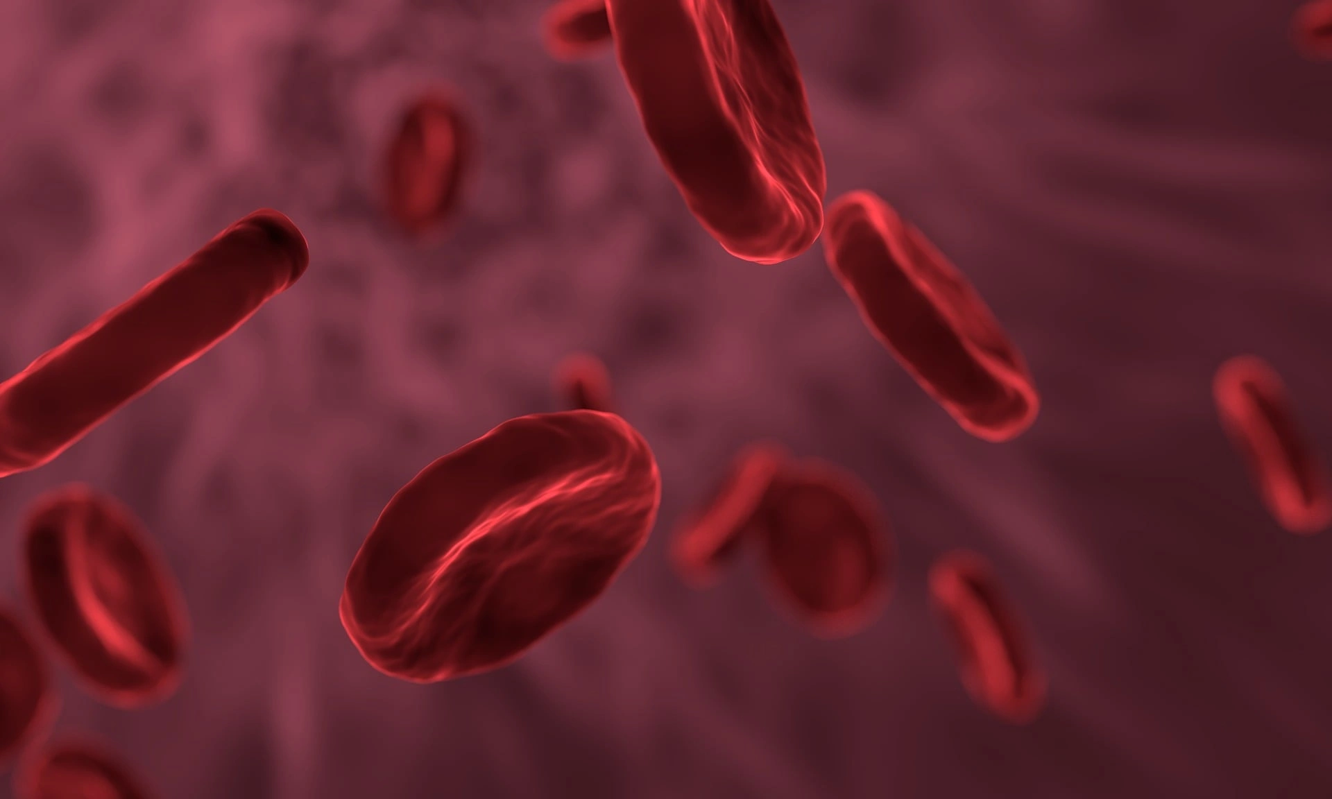 Cell-Walls-Explained