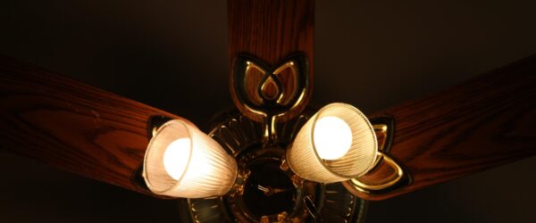 profile light price
