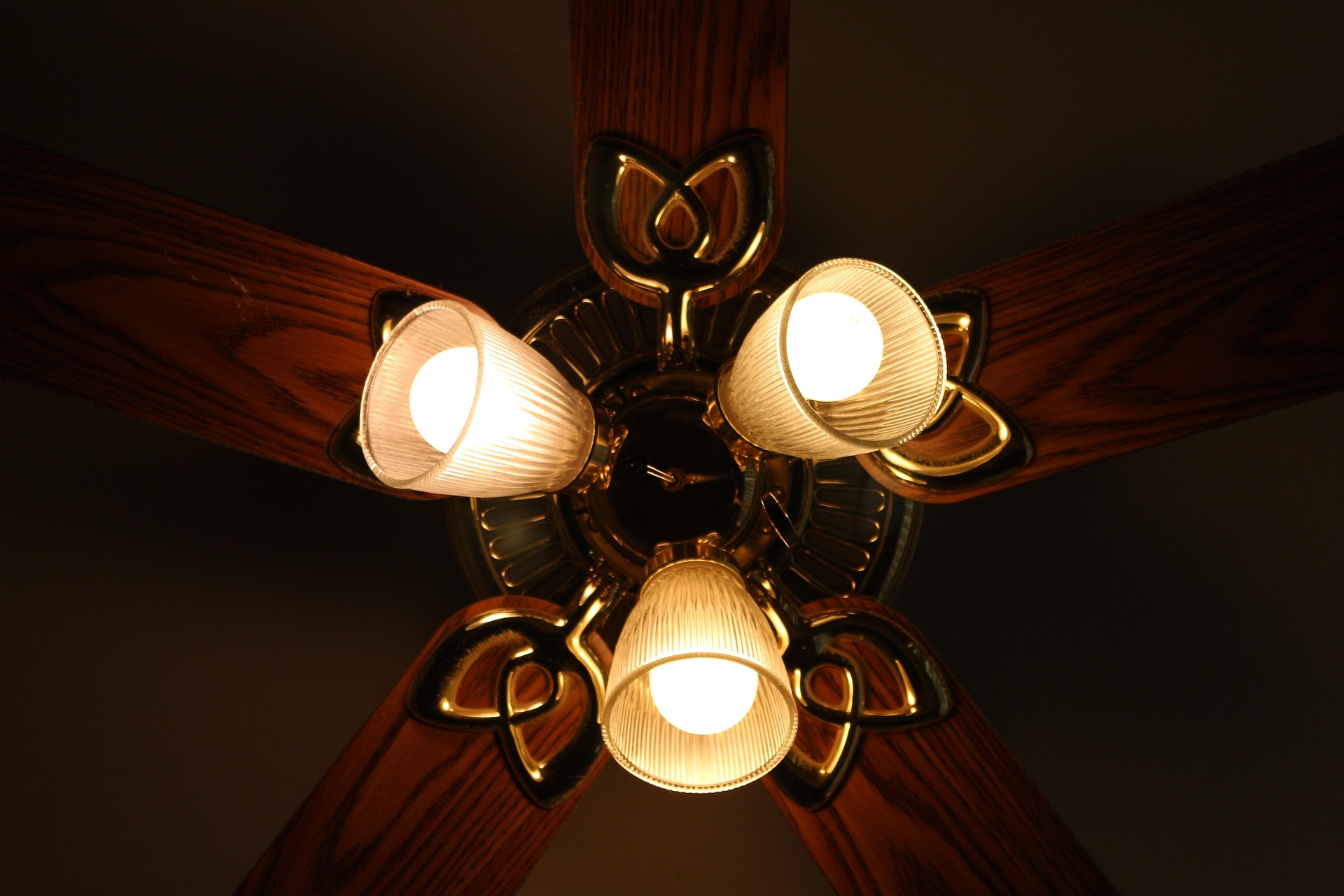 profile light price